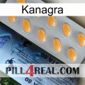 Kanagra 44